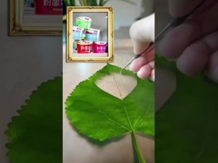 ภาพแกะผงจากหนองจางกูย์ และนู๊ดลิส กับผักและไข่ทอด