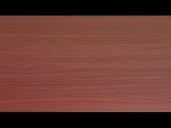 เวอร์มิเชลลี่ และ นู๊ดลิสด่วนที่มีรสชาติเนื้อหมู